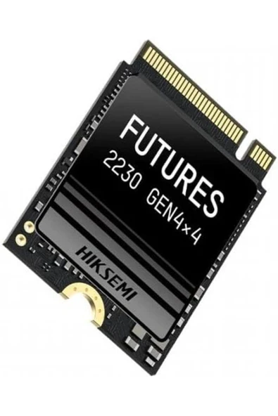 HS-SSD-FUTURES 2048 GB Dahili SSD Bezirgan 1027645 ürün görseli 1