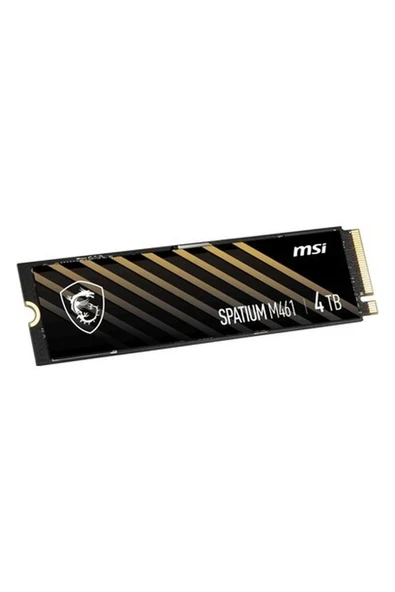 Msı SSD Spatıum M461 Pcıe 4.0 Nvme M.2 4tb R:5000 W:4200 ürün görseli 1