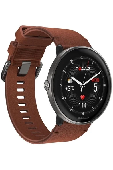 Ignite 3 Fitness ve Yaşam Saati Titanium LTHR BRNZ M/L ürün görseli 1