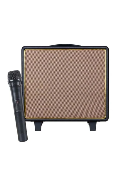 Art Gt-10 El Mikrofonlu Usb/Sd/Bt Taşınabilir Hoparlör Lab ürün görseli 1