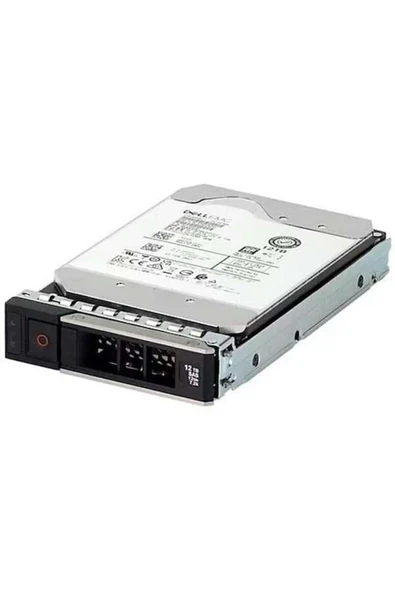 1TB 3.5\" 161-BBZW 7200RPM 512E SATA-3 SUNUCU DİSK ürün görseli 1