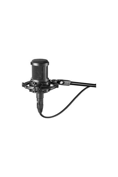 Audio-Technica At2050 Condenser Mikrofon ürün görseli 1