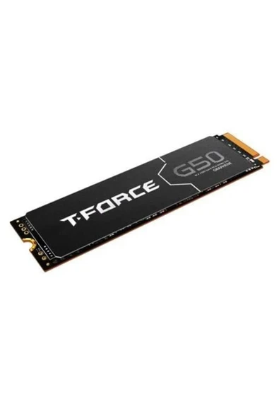 2TB T-FORCE G50 TM8FFE002T0C129 5000-4500MB/s M2 NVME GEN4 DİSK ürün görseli 1