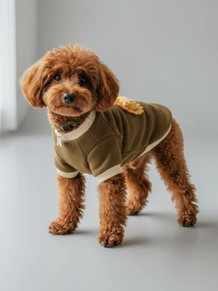 Minik Aslan Köpek Sweatshirt – Haki - Resim 12