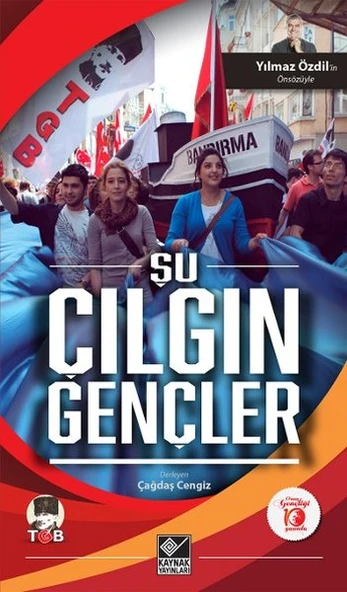 Şu Çılgın Gençler ürün görseli 1