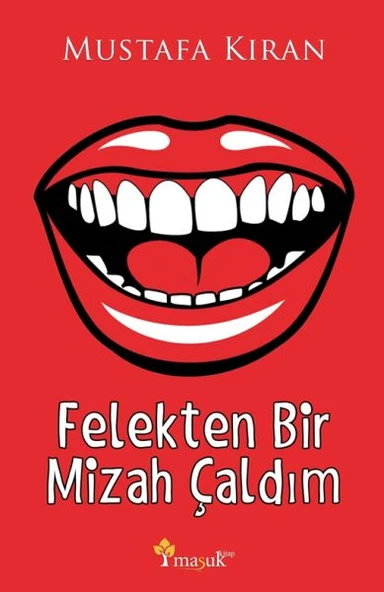 Felekten Bir Mizah Çaldım ürün görseli 1