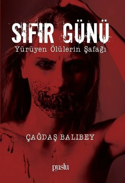 Sıfır Günü ürün görseli 1