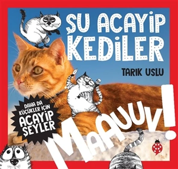 Daha Küçükler İçin Şu Acayip Kediler ürün görseli 1