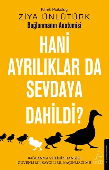 Hani Ayrılıklar da Sevdaya Dahildi? ürün görseli 1