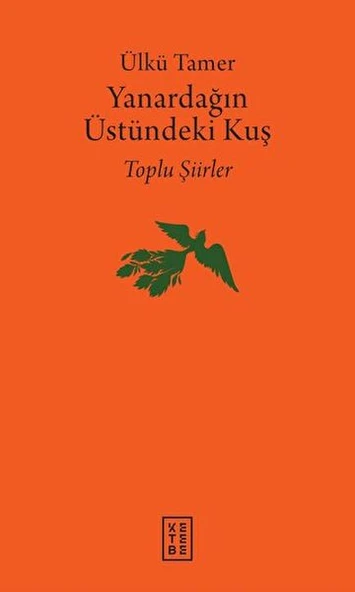 Yanardağın Üstündeki Kuş ürün görseli 1