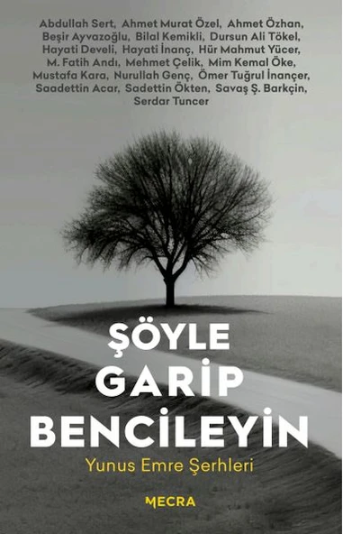 Şöyle Garip Bencileyin ürün görseli 1