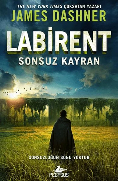 Labirent: Sonsuz Kayran ürün görseli 1