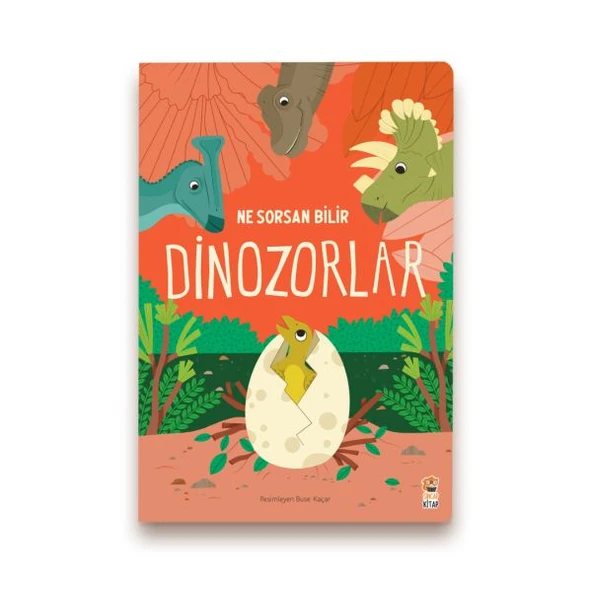 Ne Sorsan Bilir Minik - Benim İlk Dinozorlar Kitabım ürün görseli 1