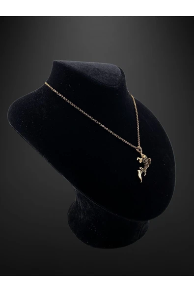 Black Diamond Taşlı Balık Figür Kolye - Resim 4