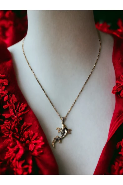 Black Diamond Taşlı Balık Figür Kolye ürün görseli 1