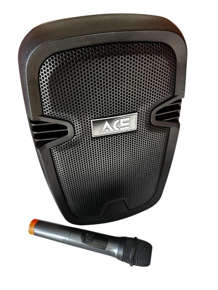 ACE AUDIO PAQ-8BL 100 WATT ŞARJLI AMFİ ürün görseli 1