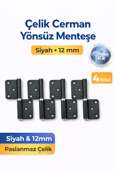 DESIPHON  4 Adet Çelik Cerman Yönsüz Siyah Kapı Menteşesi 12 mm ürün görseli 1
