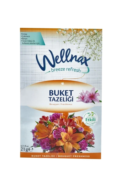 Wellnax Askılı Dolap Ve Çekmece Kokusu Splash (2 adet) ürün görseli 1