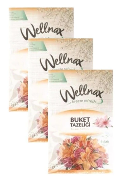 Wellnax Askılı Dolap Ve Çekmece Kokusu Buket Tazeliği (3 adet) ürün görseli 1