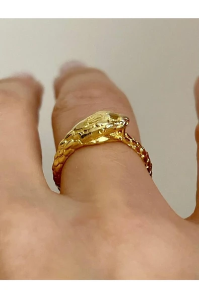 925 Ayar Gümüş Yılan Yüzük ürün görseli 1