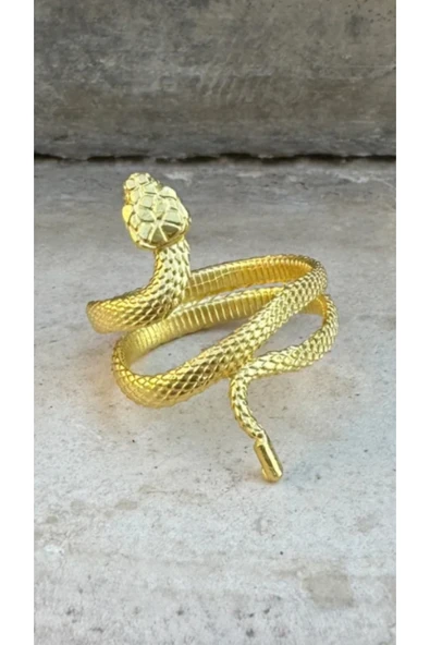 Snake Ayarlı Yüzük 925 Ayar ürün görseli 1