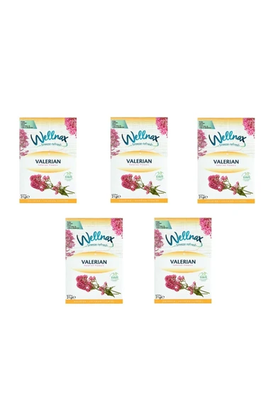 Wellnax Askılı Dolap ve Çekmece Kokusu Valerian Çiçeği (5 adet) ürün görseli 1