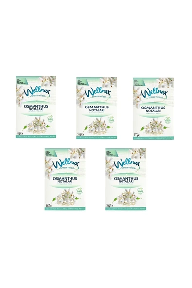 Wellnax Askılı Dolap ve Çekmece Kokusu Osmanthus Notaları (5 adet) ürün görseli 1