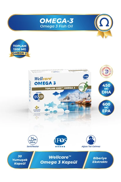 WELLCARE OMEGA 3 30 KAPSUL ürün görseli 1