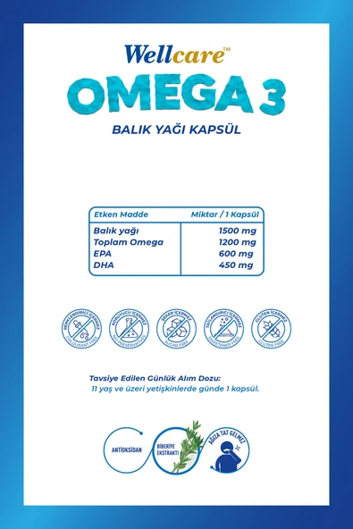 WELLCARE OMEGA 3 30 KAPSUL - Resim 2