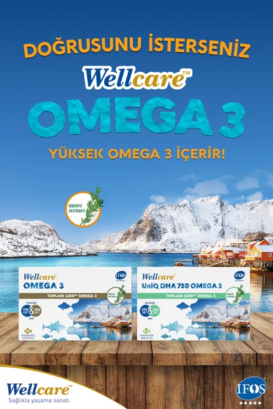 WELLCARE OMEGA 3 30 KAPSUL - Resim 3