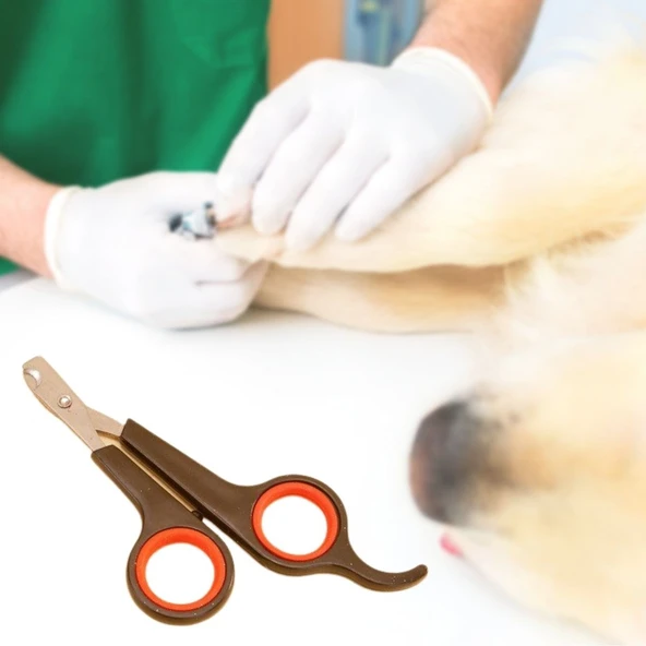 Küçük Çelik Uçlu Kedi Köpek Evcil Hayvan Tırnak Makası Pati Bakım Aleti Ergonomik Kaymaz Sap (5433) ürün görseli 1
