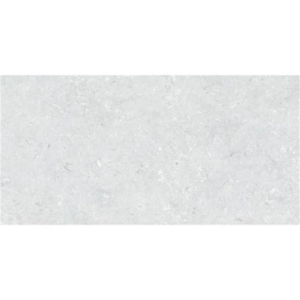 Vitra 60X120 LIGHTSTONE FOSSILE A.GRI R10A 7R K957591R0001VTSP (1,44m2) ürün görseli 1