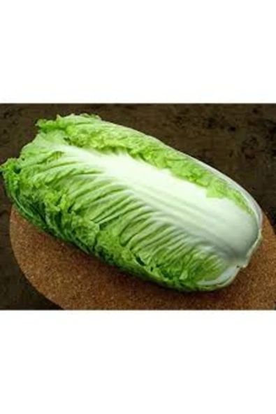 Tohumcumm 100 Adet Tohum Nadir Çin Yeşil Lahana Tohumu Kaliteli Hasat Çin Lahanası Tohumu Hediye Tohumlu ürün görseli 1