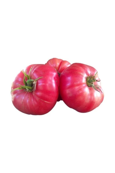 Tohumcumm 25 Adet Tohum Nadir Iri Bulgar Pembe Domates Tohumu Hobi Bahçe Domatesi Tohumu Hediye Tohumlu ürün görseli 1
