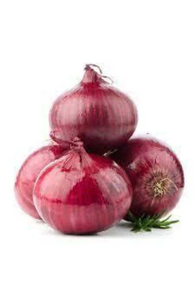 Tohumcumm 300 Adet Tohum Yerli Mor Soğan Tohumu Köy Tohumu Kırmızı Soğan Tohumu Hediye Tohumludur ürün görseli 1