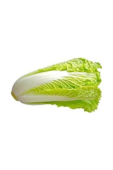Tohumcumm 100 Adet Tohum Organik Uzak Doğu Çin Lahana Tohumu Kaliteli Hasat Taze Tohumlar Hediye Tohum ürün görseli 1