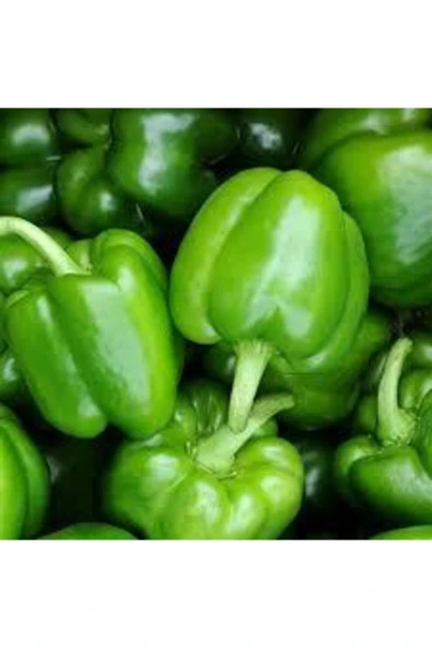 Tohumcumm 50 Adet Tohum Nadir Ince Kabuk Dolmalık Dolma Biber Tohumu Hobi Bahçe Balkon Saksılık Bahçeliktir ürün görseli 1