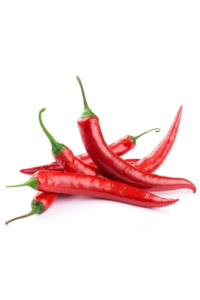 Tohumcumm 150 Adet Meksika Biberi Tohum Zehir Acı Meksika Biberi Tohumu Jalapeno Jalepeno Biber Tohumu Hediye ürün görseli 1
