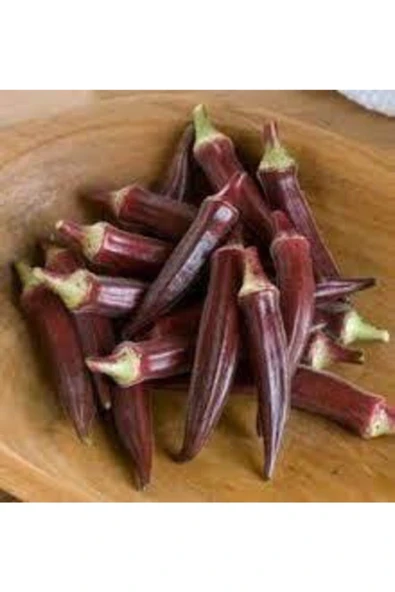 Tohumcumm 100 Adet Tohum Eko Paket Kınalı Bamya Tohumu Bamya Tohumu Süpriz Hediye Tohumludur ürün görseli 1