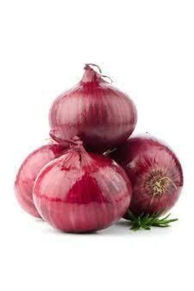 Tohumcumm 100 Adet Tohum Yeni Hasat Mor Kışlık Soğan Tohumu Organik Taze Tohumlar Hediye Tohum ürün görseli 1