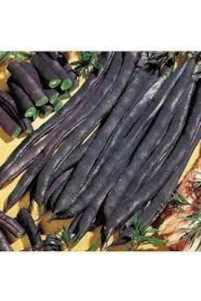 Tohumcumm 150 Adet Tohum Nadir Siyah Olive Bean Organik Hasat Siyah Fasulye Tohumu Köy Tohumudur ürün görseli 1