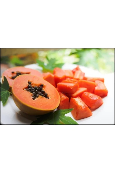 Tohumcumm 5 Adet Tohum Organik Tropikal Papaya Meyve Ağacı Ağaç Tohumu Saksı Toprak Hediyelidir ürün görseli 1