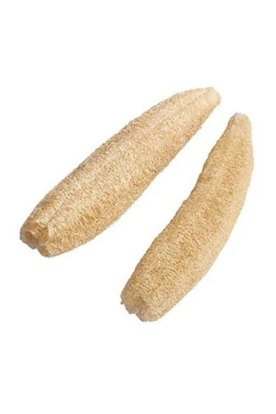 Köy Tohumları 2 Adet Sünger Lif Kabak 40cm Boyunda Taze Organik Kese Lifi Kabak Hamam Banyo Kabağı Orjinal ürün görseli 1