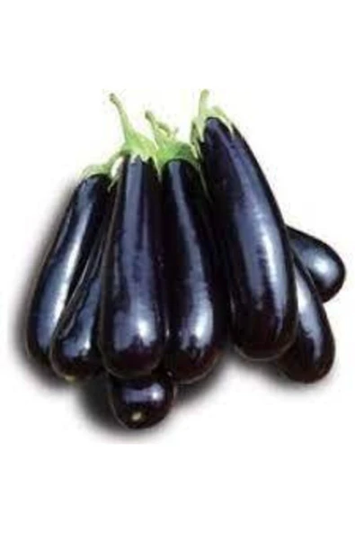 Tohumcumm 20 Adet Tohum Kemer Palıcan Tohumu Yerli Tohum Kemer Patlıcanı Tohumu ürün görseli 1