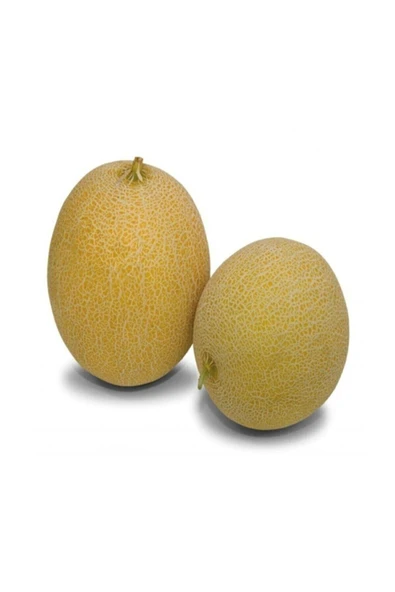 Tohumcumm 50 Adet Tohum Ananas Kavunu Tohumu Bal Kavun Tohumu Sürpriz Hediye Sebze Tohumu ürün görseli 1