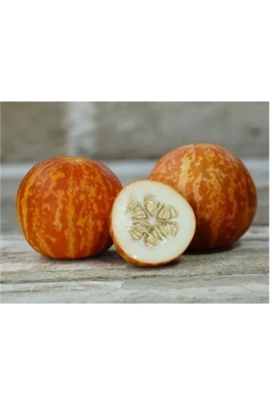 Tohumcumm 5 Adet Tohum Nadir Nevşehir Organik Minik Parfüm Kavunu Tohumu Saksı Toprak Hediye ürün görseli 1