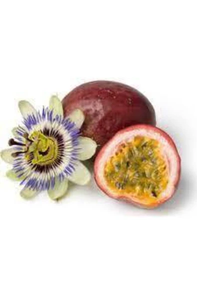 Tohumcumm 6 Adet Tohum Ithal Nadir Tropikal Tutku Meyvesi Tohumu Passion Fruit Sürpriz Hediye Tohum ürün görseli 1