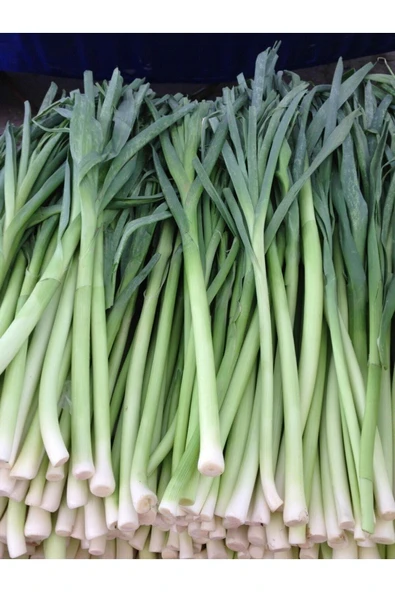 Tohumcumm 200 Adet Tohum Organik Hobi Bahçesi Yetiştiriciliği Pırasa Tohumu Yeni Mahsul Tohum Hediye Tohum ürün görseli 1