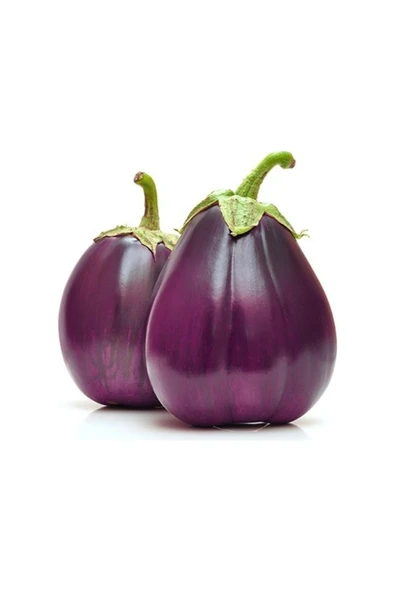 Tohumcumm 15 Adet Tohum Nadir Floransa Tombul Patlıcan Tohumu İri Organik Patlıcan Tohum Hediye Tohumlu ürün görseli 1