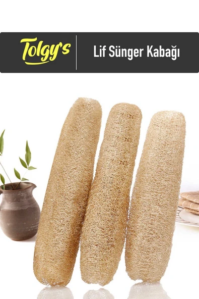 Tolgys Lif Sünger Kabak Tohumu / 20+ Adet Tohum ürün görseli 1